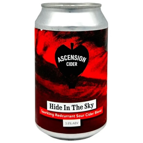 ascension-hide-in-the-sky-can-min