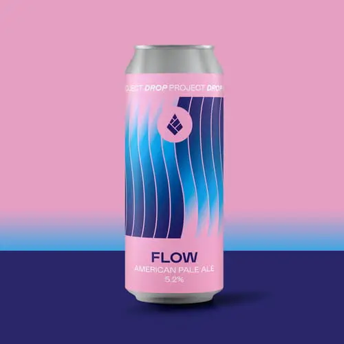 drop-project-flow-can