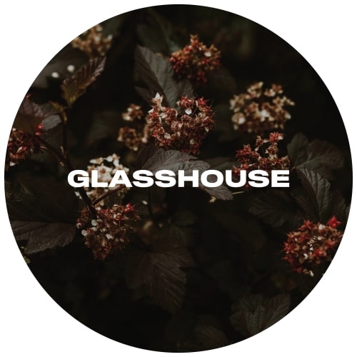 glasshouse-burgundy-keg-min