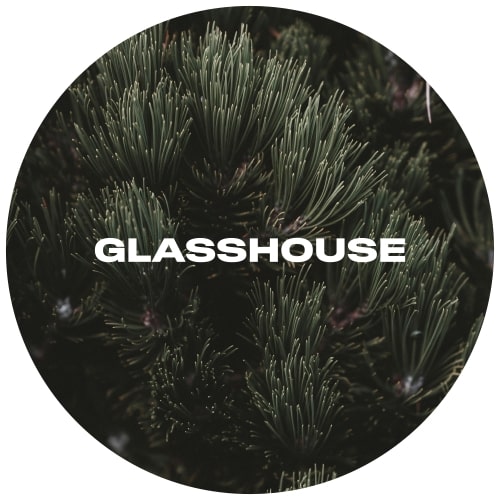 glasshouse-conifer-keg-min