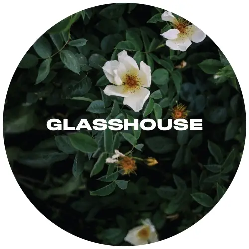 glasshouse-harkness-cask
