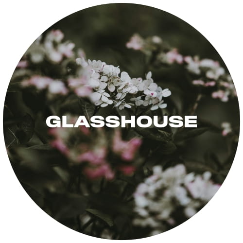 glasshouse-silent-sometimes-keg