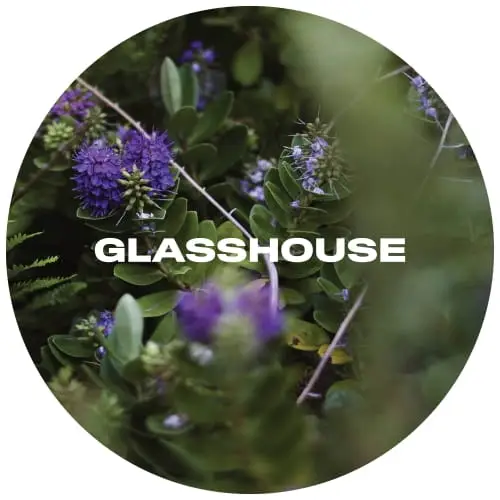 glasshouse-veronica-keg