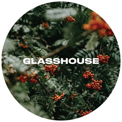 Glasshouse | Wiggin | 5.0% | 30l KeyKeg