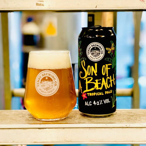 tenby-son-of-a-beach-can